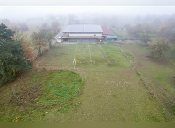 Reitanlage in Osterburken – vielseitige Nutzungsmöglichkeiten auf großzügigem Anwesen