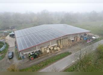 Reitanlage in Osterburken – vielseitige Nutzungsmöglichkeiten auf großzügigem Anwesen