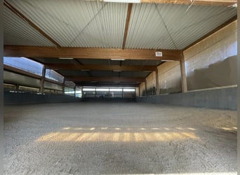 Reitanlage in Osterburken – vielseitige Nutzungsmöglichkeiten auf großzügigem Anwesen