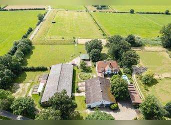 Reiterhof mit historischem Gutshaus im Aller-Leine-Tal zu verkaufen - 7 ha arrondierte Flächen