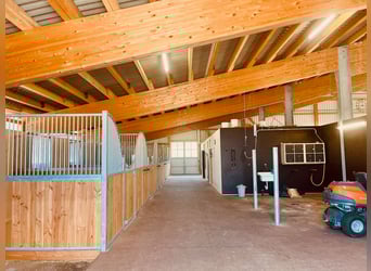 Residenza esclusiva per cavalieri con vista sulle Alpi – Paradiso equestre con prospettive V13084