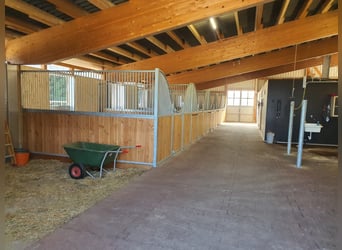 Residenza esclusiva per cavalieri con vista sulle Alpi – Paradiso equestre con prospettive V13084