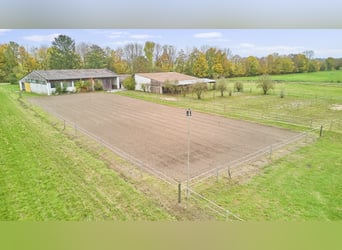 Ruhig gelegener Pferdehof in Lorsch an der Bergstraße mit romantischem Holzhaus!