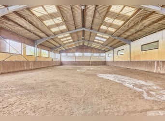 Ruhig gelegener Pferdehof in Lorsch an der Bergstraße mit romantischem Holzhaus!