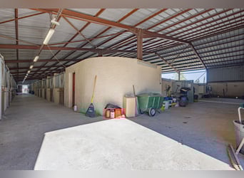 Scuderia altamente redditizia - Attività di transito