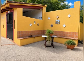 Splendido centro equestre a Valencia (Costa Blanca)