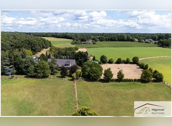 Splendido complesso equestre in posizione isolata nel NRW, Germania