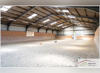 Splendido complesso equestre in posizione isolata nel NRW, Germania