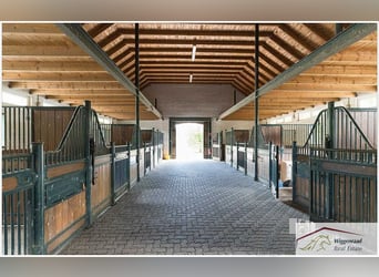 Splendido complesso equestre in posizione isolata nel NRW, Germania