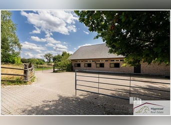 Splendido complesso equestre in posizione isolata nel NRW, Germania