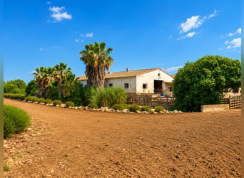Splendido progetto equestre vicino a OLIVA (MET), situato accanto a un parco naturale