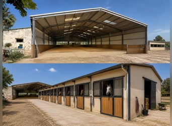 Splendido progetto equestre vicino a OLIVA (MET), situato accanto a un parco naturale