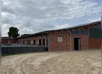 Struttura equestre con maneggio coperto, ideale per cavalieri ambiziosi e appassionati di cavalli. F