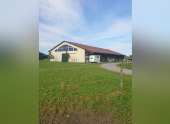 Struttura equestre esclusiva con potenziale residenziale e di rendimento in Alta Algovia