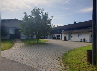 Struttura equestre esclusiva con potenziale residenziale e di rendimento in Alta Algovia