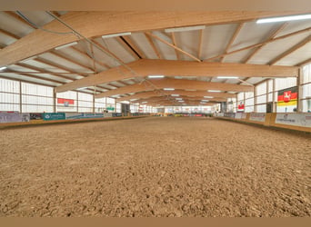Struttura equestre in vendita vicino a Berlino – Capienza per circa 100 cavalli nel distretto di Hav