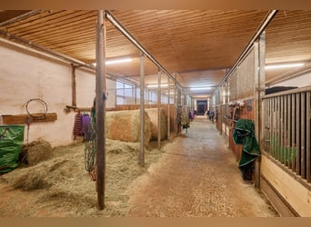 Struttura equestre nel Baden-Württemberg su un terreno in leasing con due unità abitative!