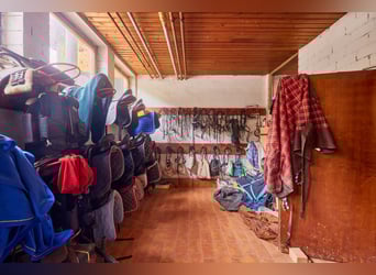Struttura equestre nel Baden-Württemberg su un terreno in leasing con due unità abitative!