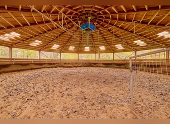 Struttura equestre nel Baden-Württemberg su un terreno in leasing con due unità abitative!