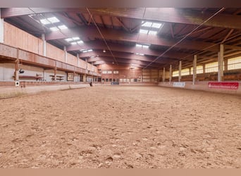 Struttura equestre nel Baden-Württemberg su un terreno in leasing con due unità abitative!