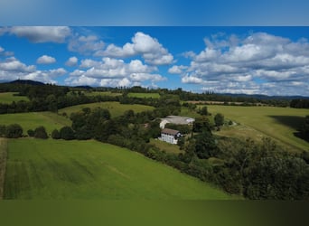 Struttura equestre nel Harz a Bad Sachsa – Grande azienda agricola con maneggio coperto in posizione