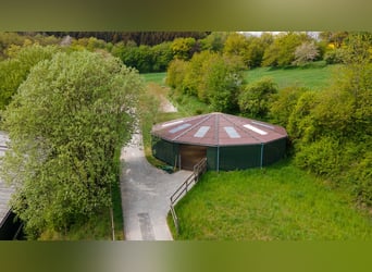 Struttura equestre nel Saarland, vicino a St. Wendel, in posizione panoramica e isolata, in vendita!