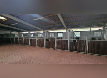 Struttura equestre professionale per grandi discipline sportive nella regione metropolitana Rhein-Ne