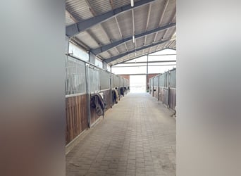 Struttura ippica di prestigio di alta qualità in posizione isolata a nord di Amburgo