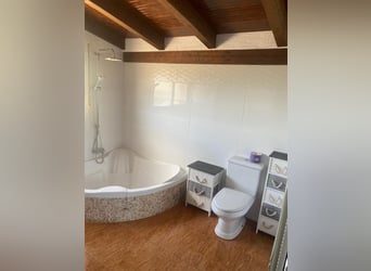 STUNNING EQUESTRIANPROPERTY/LANDHOUSE NEAR XATIVA/VALENCIA