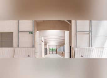 Svizzera orientale - Esclusivo centro equestre con villa mediterranea e ampio terreno