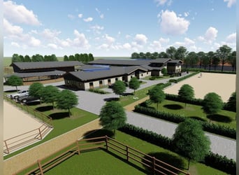 Terreno agricolo con autorizzazione edilizia per un centro equestre professionale a Colonia!