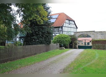 Traumhaft schöner Landsitz mit eigenem Wald, Reiterhof u.v.m. in ruhiger Lage mit guter Anbindung