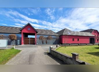 Traumhafter Vierkanthof mit 4,1 ha Nähe Düsseldorf