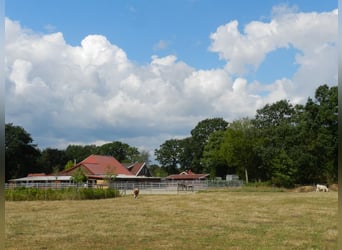 Traumhaftes Anwesen mit 3 Wohnhäusern in Ostfriesland