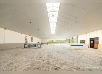 Unieke trainingsstal met prachtige villa op ca. 1 ha te Halle-Zoersel (Mogelijkheid tot aankoop extr