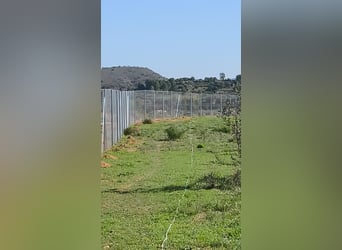 Unique Off-Grid Mountain Home With 360° Panoramic Views and Full Equestrian Facilities 