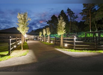 Villa esclusiva con dependance e strutture equestre nei pressi del Parco Nazionale di De Meinweg