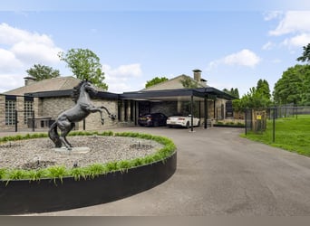 Villa esclusiva con dependance e strutture equestre nei pressi del Parco Nazionale di De Meinweg