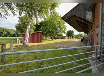 Vivere in campagna: Casale ben tenuto con ampio spazio per le vostre idee