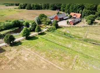 Vivi il sogno alla porta di Österlen – tenuta equestre, recinto per cervi, fiume..