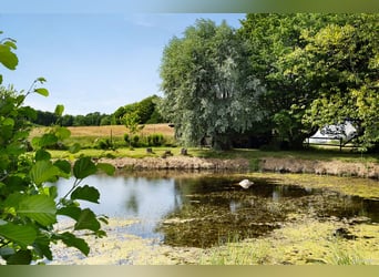 Vivi il sogno alla porta di Österlen – tenuta equestre, recinto per cervi, fiume..