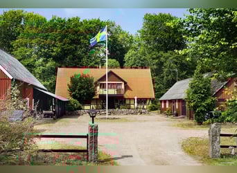 Vivi il sogno alla porta di Österlen – tenuta equestre, recinto per cervi, fiume..