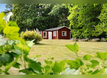 Vivi il sogno alla porta di Österlen – tenuta equestre, recinto per cervi, fiume..