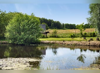 Vivi il sogno alla porta di Österlen – tenuta equestre, recinto per cervi, fiume..