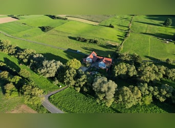 Wassermühle in Alleinlage   *Pferdehaltung *energieeffizient *provisionsfrei *alte Wasserrechte