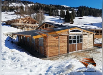 AMERICAN BARN - TOP Stallbau, Pferdestall bauen, Außenboxen und Pferdeboxen, Offenstall, Weidehütte