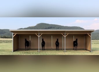 Capanna per pascolo e box all'aperto, rifugio per cavalli | Rifugio per pascolo ideale per i vostri 