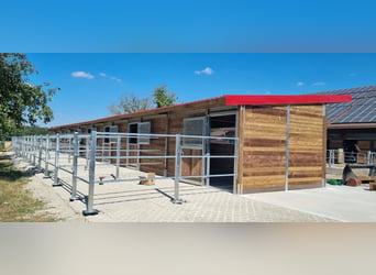 Costruzione di stalle e box per cavalli | Stalle esterne e box per cavalli - paddock aperto per cava