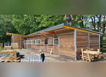 Costruzione di stalle per cavalli: paddock esterno e box, acquisto di paddock aperti, capanni per pa