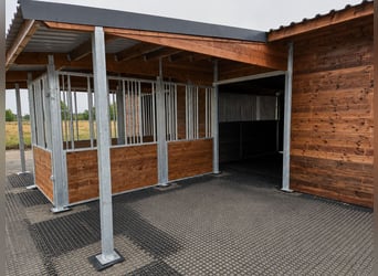 Mangimi e mangiatoie per cavalli, ideali mangiatoie per il paddock dei cavalli